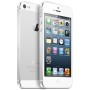 3-2202-iphone5ssilver.jpg